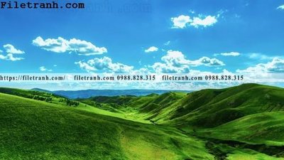 File tranh hinh anh chup anh dong co 179 (bản gốc) in lụa 5D