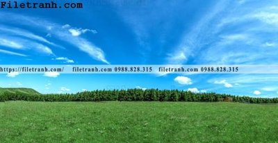 Tải file hinh anh chup anh dong co 181 (ảnh gốc) 300dpi hinh anh chup anh dong co 181