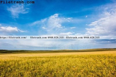 File gốc hinh anh chup anh dong co 193 (in ấn) không giới hạn