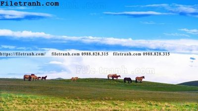 Tải file gốc in lụa hinh anh chup anh dong co 194 siêu nét