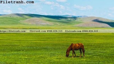 Download file gốc hinh anh chup anh dong co 200 (dùng cho in ấn)