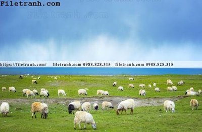 File in mica hinh anh chup anh dong co 204 (bản gốc) siêu trong