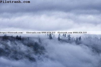 Download file gốc hinh anh dinh nui may va bien 214 (in lụa) hoa lá