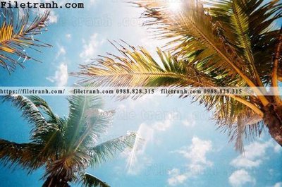 Tải file gốc hinh anh phong canh cay co cay dua ngang 118 (in tráng gương) 3DFile gốc hinh anh phong canh cay co cay dua ngang 118 (sẵn sàng in) chất lượng cao