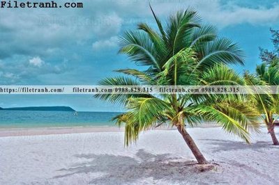 File gốc hinh anh phong canh cay co cay dua ngang 125 (in mica) trang trí