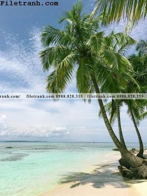 File gốc hinh anh phong canh cay co cay dua ngang 129 (in tráng gương) nghệ thuật