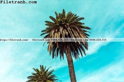 File tranh gốc PSD hinh anh phong canh cay co cay dua ngang 148 còn nguyên layer