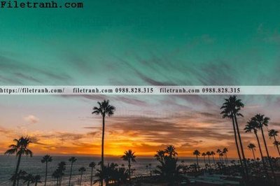 File in trần hinh anh phong canh cay co cay dua ngang 168 (bản gốc) phong cảnh