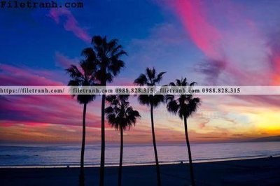 File gốc hinh anh phong canh cay co cay dua ngang 170 (in mica) làm quà tặng