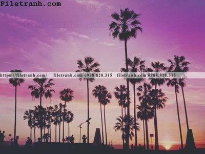 File gốc hinh anh phong canh cay co cay dua ngang 226 (cho in UV) siêu nét