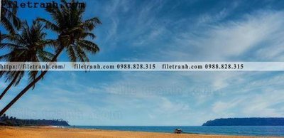 File in trần hinh anh phong canh cay co cay dua ngang 233 (bản gốc) bầu trời