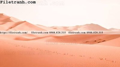 Mua file gốc hinh anh phong canh sa mac yen tinh 103 (chất lượng) tại Filetranh.com