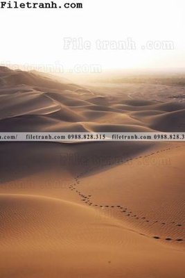 Tải file gốc hinh anh phong canh sa mac yen tinh 112 (in khổ lớn) không mờ