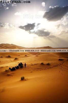 File in mica hinh anh phong canh sa mac yen tinh 114 (ảnh gốc) đẹp