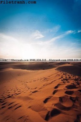 File tranh gốc hinh anh phong canh sa mac yen tinh 121 (bản quyền) độc đáo