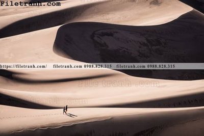 File gốc hinh anh phong canh sa mac yen tinh 156 (cho in ấn) từ Filetranh.com