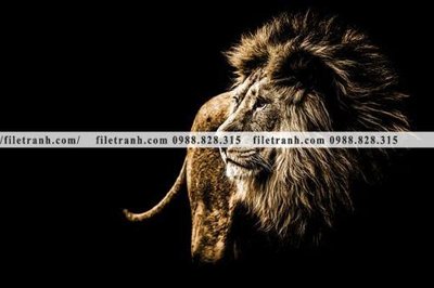 File in trần hinh anh su tu dep 656 (bản gốc) phong cảnh