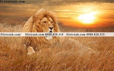 File gốc hinh anh su tu dep 665 (trang trí) cho phòng khách