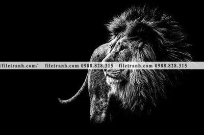 Download file tranh PSD hinh anh su tu dep 667 để chỉnh sửa