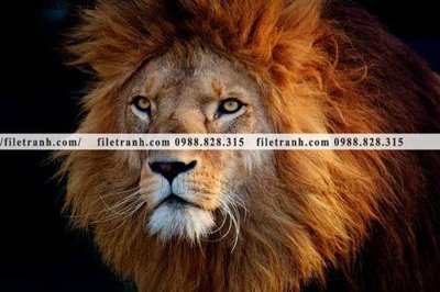 File gốc hinh anh su tu dep 670 (in 3D) nghệ thuật