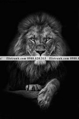 File PSD hinh anh su tu dep 675 (chất lượng in ấn)