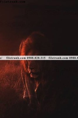 File tranh hinh anh su tu dep 677 (bản gốc) treo quán cafe