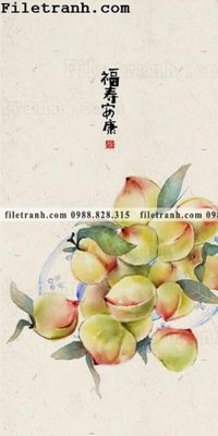 File gốc hinh anh trai cay dan gian 103 (dành cho trang trí nội thất)