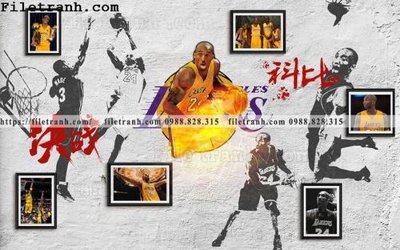 Tải file gốc hinh nen tuong bong ro 116 (in khổ lớn) không vỡ