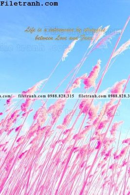 Tải file gốc hoa dep theo phong cach Bac Au 130 (bản PSD) còn layer