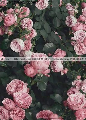 Tải file gốc hoa dep theo phong cach Bac Au 147 dùng cho in ấn