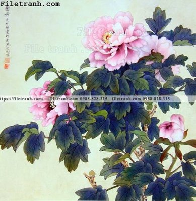 File in trần hoa mau don ve tay 221 (bản gốc) bầu trời