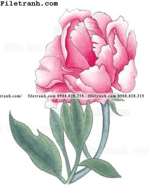 Tải file hoa mau don ve tay 272 (gốc) để in ấn ngay