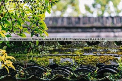 Ảnh gốc mai hien cua toa nha co 104 (độ nét cao) in tráng gương