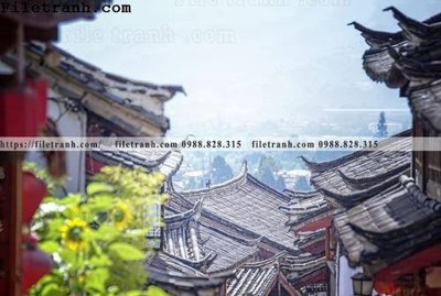 Ảnh gốc mai hien cua toa nha co 135 (độ nét cao) in tráng gương