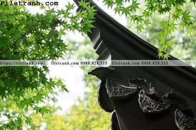 Ảnh gốc file in lụa mai hien cua toa nha co 145 chi tiết