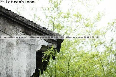 File gốc mai hien cua toa nha co 216 (Filetranh.com) mai hien cua toa nha co 216