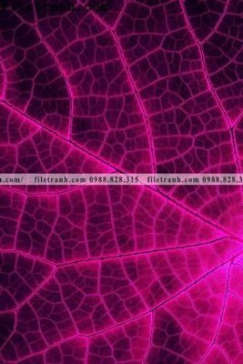 Tải file mau tranh truu tuong son nuoc 175 (gốc) làm tranh trang trí