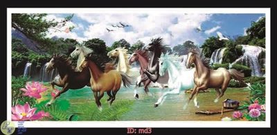 File tranh File mã đáo thành công MD3 (ảnh gốc) in trần nhà