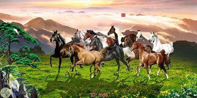 Tải file File mã đáo thành công MD6 (ảnh gốc) độ phân giải 300dpi