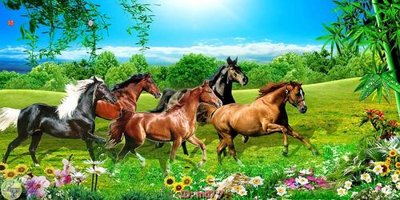 File gốc in ấn File mã đáo thành công MD7 chuẩn màu CMYK