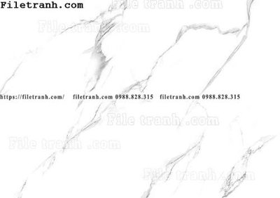 File gốc nen van da cam thach 111 (PNG) chất lượng cao