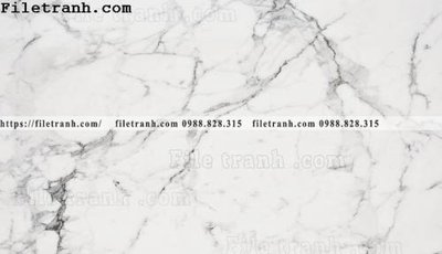 Mua file gốc nen van da cam thach 119 (chất lượng) tại Filetranh.com