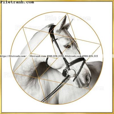 File ảnh gốc ngua trang tron don gian hien dai 105 (chuyên in mica)