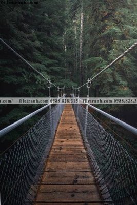 File tranh nhung buc tranh phong canh doc 509 (bản gốc) treo phòng ăn