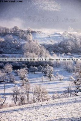 Tải về file gốc nhung buc tranh phong canh doc 544 (dùng cho in quảng cáo)