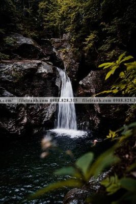 Download file nhung buc tranh phong canh doc 546 (gốc) cho xưởng in