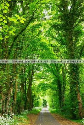 Tải file gốc nhung buc tranh phong canh doc 563 (in khổ lớn) không mờ