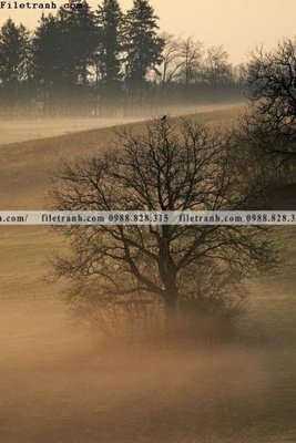 Download file ảnh gốc nhung buc tranh phong canh doc 598 để in ấn