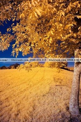 File gốc nhung buc tranh phong canh doc 604 (in tráng gương) ốp tường