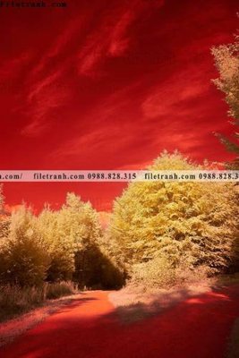 File ảnh nhung buc tranh phong canh doc 622 (gốc) in backdrop sự kiện